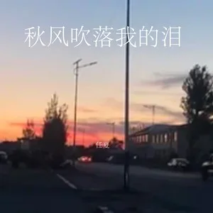秋风吹落我的泪