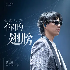 让我成为你的翅膀