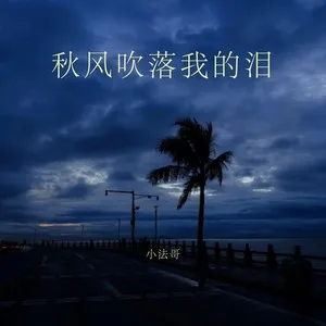 秋风吹落我的泪