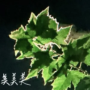 美美美