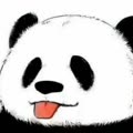 王麻花个人简介