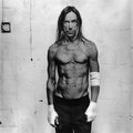 Iggy Pop个人简介