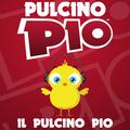 Pulcino Pio个人简介