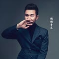 王群个人简介