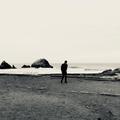 Gill Chang个人简介