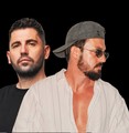 Dimitri Vegas & Like Mike个人简介