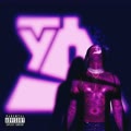 Ty Dolla $ign个人简介