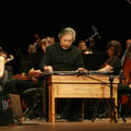 杨青