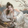 微斯特有声
