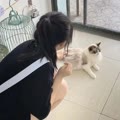 世奈