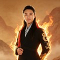 段兴华