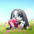 Lapin Câlin