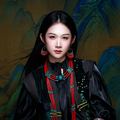 沙米尔个人简介