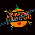 Dissected orange解剖橘子