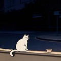 微醺的猫