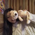 袁小葳个人简介