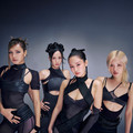 BLACKPINK个人简介